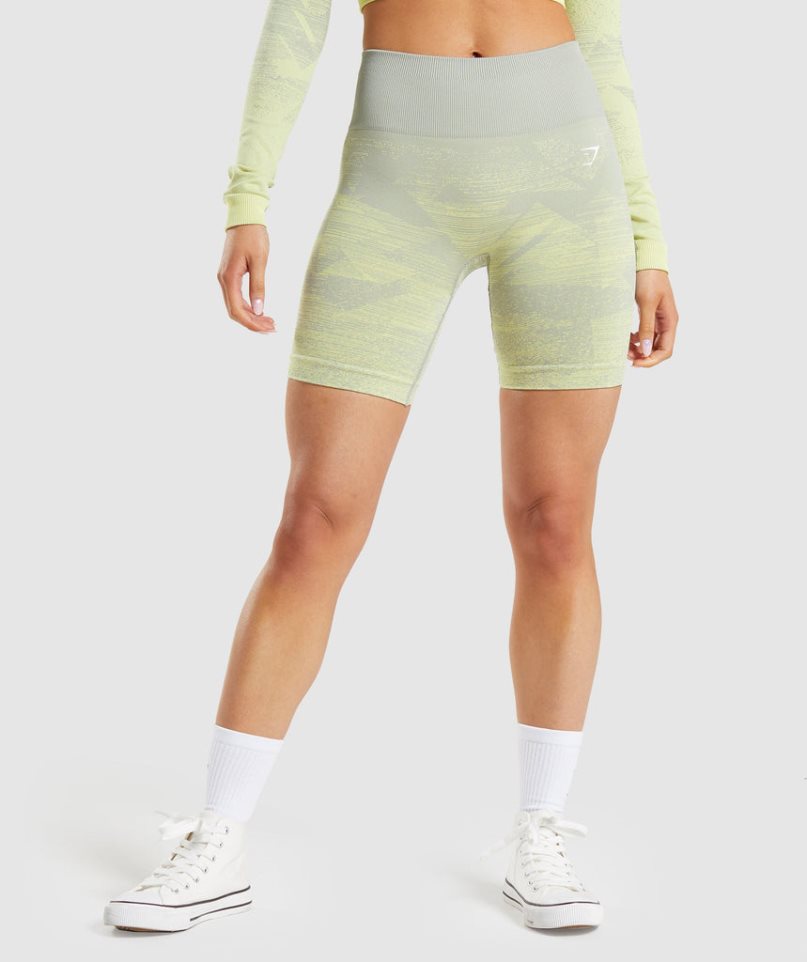 Women\'s Gymshark Adapt Ombre Seamless Shorts Light Green | NZ 3WMISA